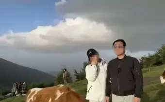 五臺(tái)山牛群“暴怒”踩踏游客,！景區(qū)：有人喂牛肉干、拿登山杖打牛屁股